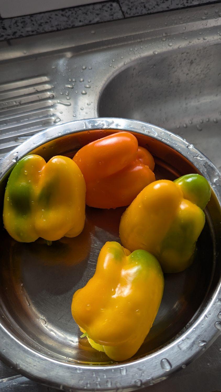 Poivrons de couleur 1