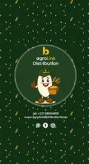 AgroLink Distribution